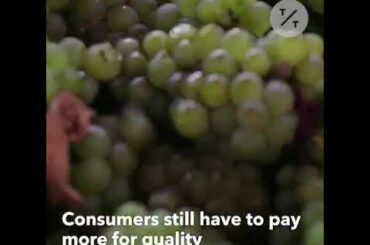 Spanish and Italian Wine Prices Are Falling