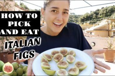 EATING FRESH FIGS I GREW IN MY GARDEN!