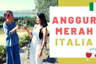 BELAJAR ANGGUR MERAH DI ITALIA | #NazToMeetYou