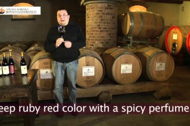 Barolo Italian Wine "Barrique"