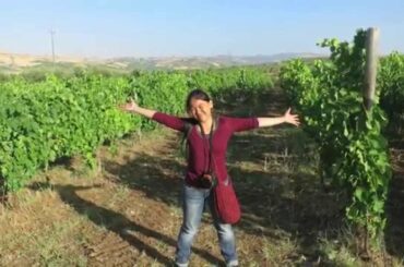 Couchsurfing Experience in Barile, Italy