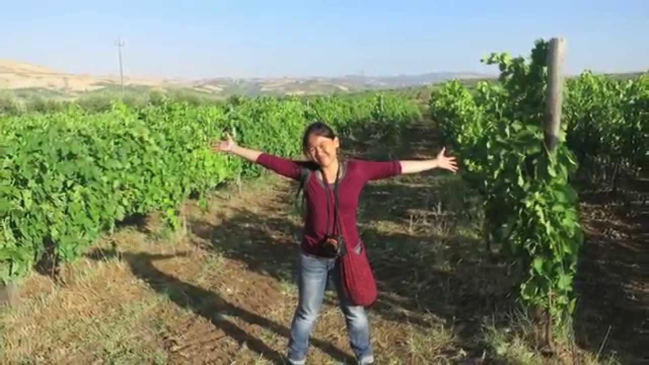 Couchsurfing Experience in Barile, Italy Couchsurfing Experience in Barile, Italy