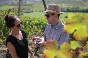 Divinea Aftermovie | Harvest time at La Morandina