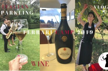 Ferrari Camp 2019: harvest, helicopter tour and rivers of sparkling wine