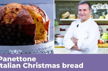 PANETTONE (Italian Christmas bread: traditional recipe)