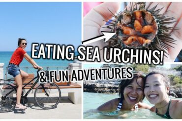 EATING SEA URCHINS AND FUN ADVENTURES! Italy Travel Vlog #6