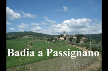 Italy/Badia a Passignano ( Chianti Classico wine zone) Part 61/84