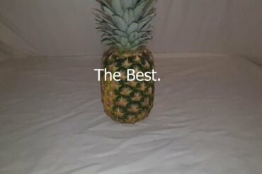 The Best - c00216323