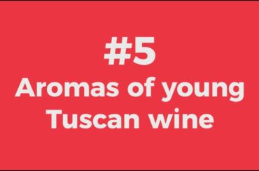 Tuscan Wine for Beginners: #5 Aromas of young Tuscan wine