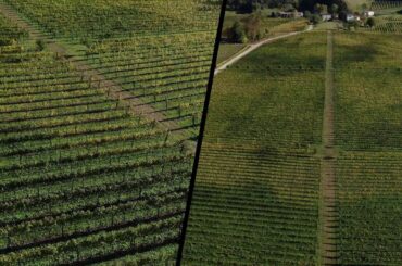 Video Drone - Winery emotional