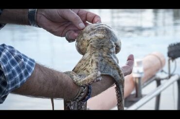 Italy's Amalfi Coast