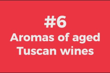 Tuscan Wine for Beginners: #6 Aromas of aged Tuscan wines