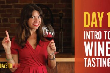 DAY 1  Learn All About Wine Tasting