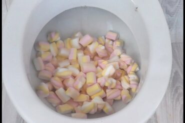 Will it Flush? - Marshmallow & Italian nuts Funny Experiment