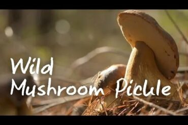 Pickled Wild Mushrooms - DIY