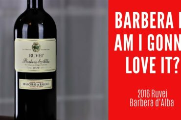 2016 Ruvei Barbera d'Alba Wine Review