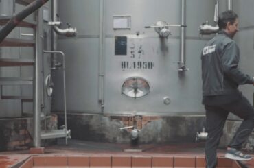 Cantine Sgarzi Luigi