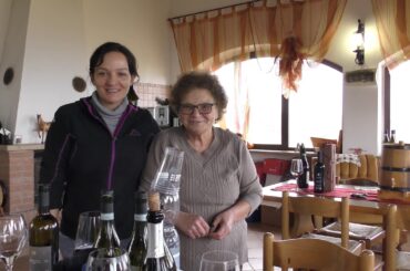 Piemonte winery Cascina Saria