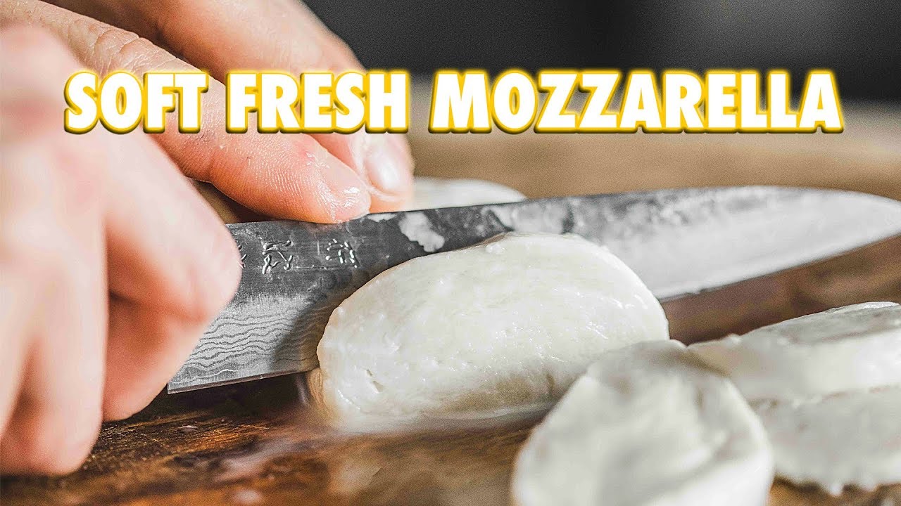 30 Minute Homemade Fresh Mozzarella Cheese 30 Minute Homemade Fresh Mozzarella Cheese