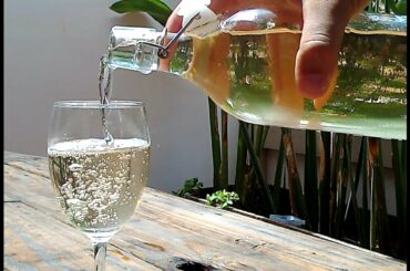 Sparkling rice wine homemade