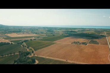 Bolgheri - A world of it's own