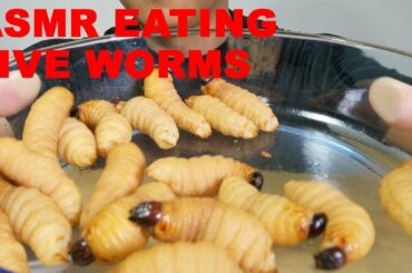 Primitive ASMR Mukbang Eating Live Coconut Worms (ASMR USA Portugal Switzerland Italy Finland)