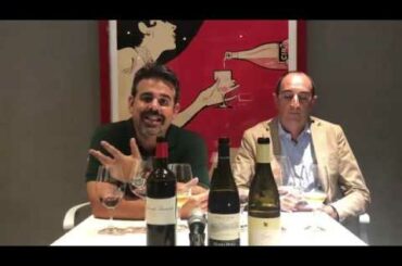 Maravillosos vinos italianos en el portafolio de Aficionados. Some great Italian wines @ Puerto Rico