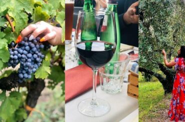 TUSCANY, ITALY TRAVEL VLOG | VINEYARD TOUR | TAMIL VLOG