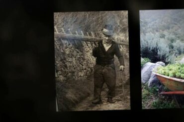 The Best of Italian Food on Lake Garda - Gardasee