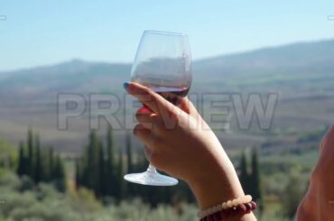 Girl Drinks Wine Stock Video