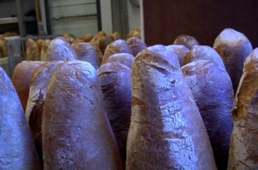 Best Bakery in Rome! Visit Forno Campo de' Fiori for delicious Italian bread