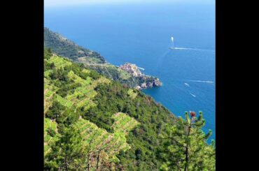 Visiting Wineries around Tuscany