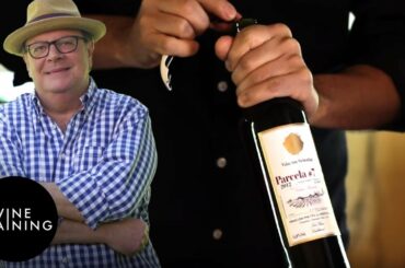 Chilean Wine - Aconcagua Valley | Wine Training School