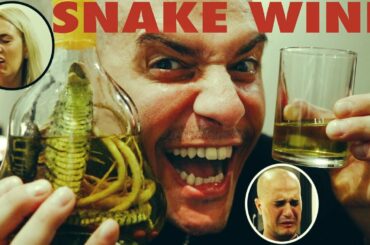LIQUORE AL COBRA ! SNAKE WINE CHALLENGE IN VIETNAM | BEVILO TUTTO !