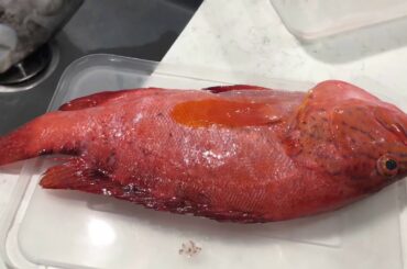 COOKING GRILLED MAHI , LAPU - LAPU  AND PASTA WITH CUTTLEFISH FOR OUR GUEST