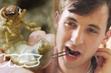Inside China's Bug-Eating Industry (Part 1)