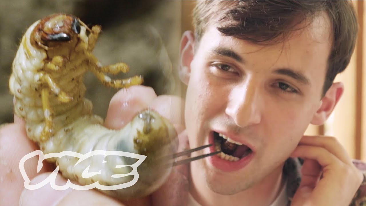 Inside China's Bug-Eating Industry (Part 1) Inside China's Bug-Eating Industry (Part 1)