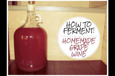 How to make WILD FERMENTED Homemade Grape Wine