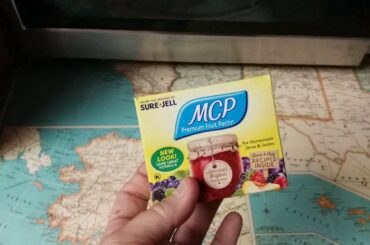 Italian Fried Pork Chops Recipe, tutorial, Dinner and Channel  Update!!