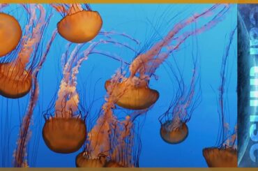 Feeding the Billions: A New Frontier for Sustainable Eating | earthrise