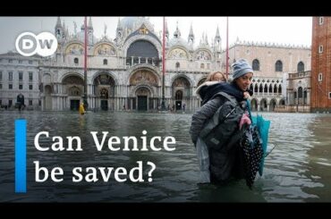 Can Italy's iconic Venice be saved from destructive floods? | Focus on Europe