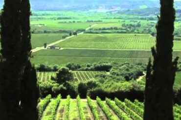 Banfi Brunello di Montalcino 2010 Wine