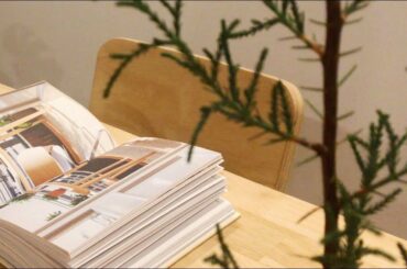 #2. Vlog. Unboxing gift 선물 언박싱| Repotting plant| Grandhand| Italian cypress