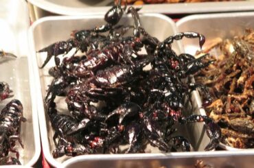 Eating Scorpions and Cockroaches. Bangkok Street Food, Thailand