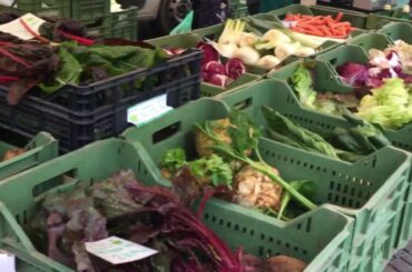 Beautiful Trento | Things to Do  in Trent Italy during Autumn 2019 | Why I Love this Place