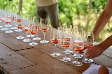 Taste of Chianti: Tuscan Cheese, Wine and Lunch in Florence, Italy