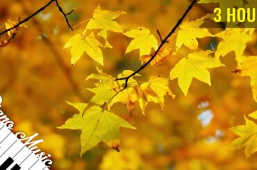 Cafe Restaurant Background Music - Instrumental Piano Music - 3 HOUR