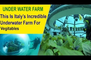 Underwater Farm In Italy's | Future Food |