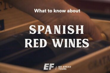 What to Know About Spanish Red Wine | EF Go Ahead Tours