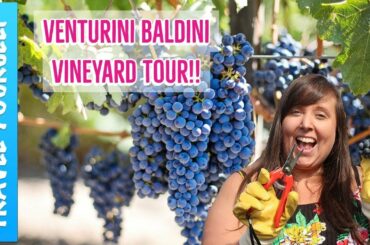 Venturini Baldini Vineyard Tour & Tasting with Balsamic Vinegar